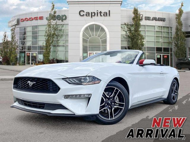2023 Ford Mustang EcoBoost Premium | One Owner Accident Free in Cars & Trucks in Edmonton