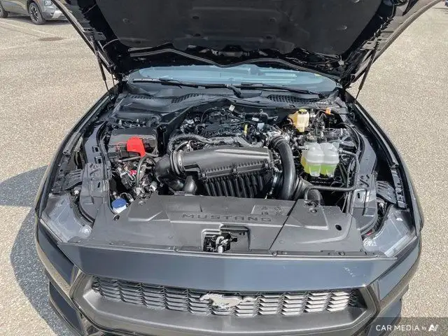 2025 Ford Mustang EcoBoost in Cars & Trucks in Brandon - Image 21