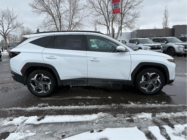 2024 Hyundai Tucson Hybrid in Cars & Trucks in Calgary - Image 4