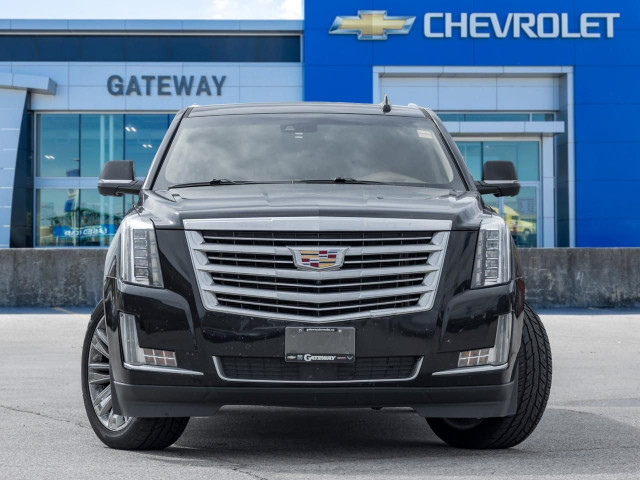 2016 Cadillac Escalade ESV Platinum in Cars & Trucks in Mississauga / Peel Region - Image 2