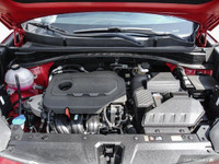 Vinyl Door Trim Insert, Variable Intermittent Wipers w/Heated Wiper Park, Trunk/Hatch Auto-Latch, Tr... (image 7)