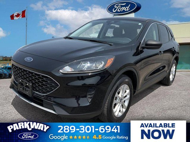 2022 Ford Escape SE in Cars & Trucks in Kitchener / Waterloo