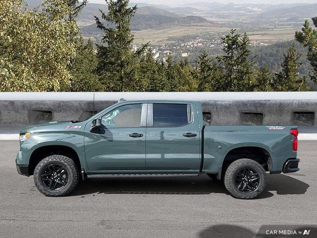 2025 Chevrolet Silverado 1500 LT Trail Boss | Running Boards in Cars & Trucks in Cowichan Valley / Duncan - Image 2