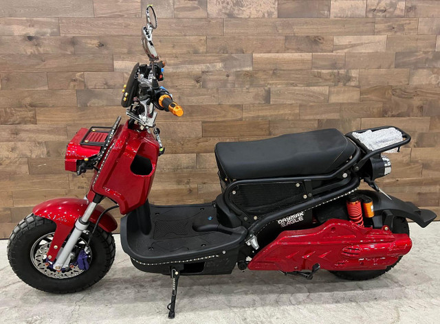 2022 Daymak EAGLE DELUXE in Scooters & Pocket Bikes in Lanaudière - Image 4
