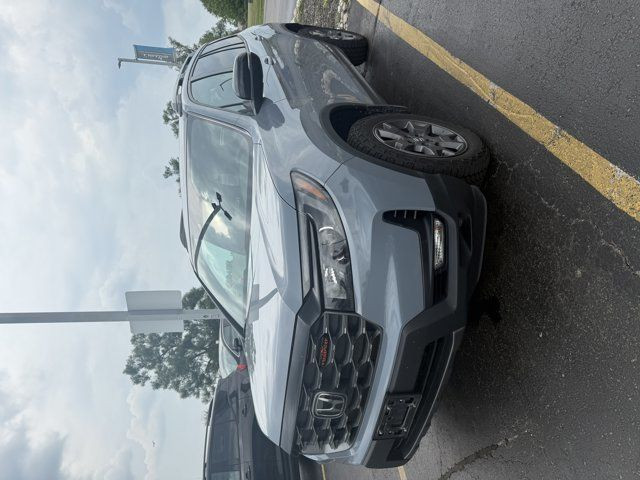 2024 Honda Passport TrailSport AWD | Leather | Sunroof in Cars & Trucks in Guelph