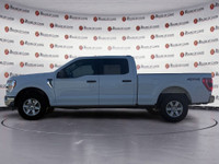 Thanks for viewing our House Of Cars Argyll inventory! AMVIC licensed dealer! The 2022 Ford F-150 XL... (image 1)
