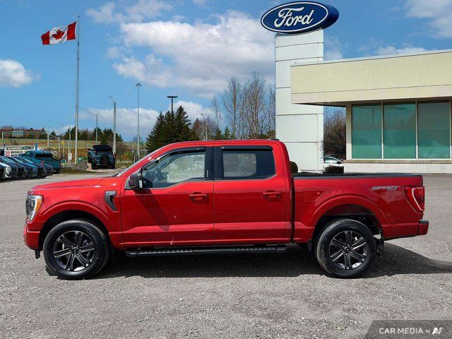2023 Ford F-150 XLT in Cars & Trucks in Kitchener / Waterloo - Image 4