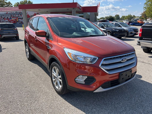  2019 Ford Escape SE, AUTOMATIC, CLEAN CARFAX! in Cars & Trucks in London - Image 4