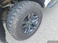 Unleash the power of the 2022 Chevrolet Silverado 1500 LTD Custom Trail Boss. This robust crew cab p... (image 8)