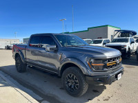 2024 Ford F-150 Tremor 4WD Crew Cab 5.5' Box, Ford Co-Pilot360 - Reverse Camera Back-Up Camera, Remo... (image 2)