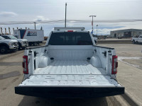 2023 Ford F-150 Tremor 4WD SuperCrew 5.5' Box, 3.5L V6 EcoBoost, Gas, 10-Spd Automatic, Class IV Tow... (image 6)