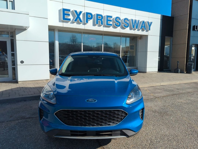  2020 Ford Escape SE AWD, SE, 1.5L ECOBOOST, REVERSE CAMERA, GRE in Cars & Trucks in Stratford - Image 2