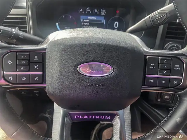 2025 Ford Super Duty F-250 SRW Platinum dans Autos et camions dans Brandon - Image 22