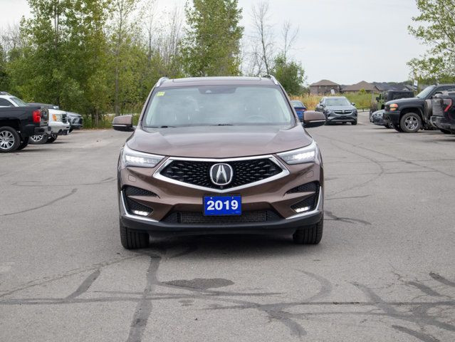 2019 Acura RDX Platinum Elite - Heated and Ventilated Front in Cars & Trucks in Belleville - Image 3