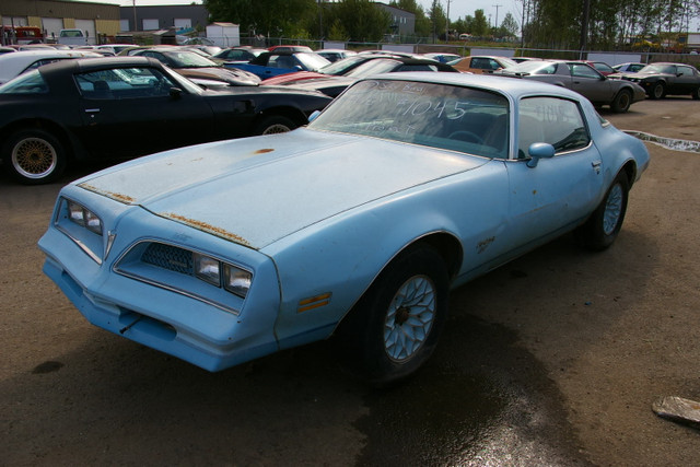 1978 Pontiac Firebird / Sky Bird / Blue Bird 350 Auto in Classic Cars in Edmonton - Image 3