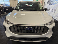 Employee Pricing on now! You pay what we pay on every New and Used Vehicle at Boundary Ford - Best D... (image 4)