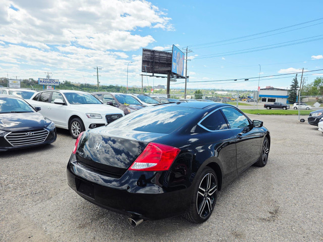 2011 Honda Accord EX-L Leather Heated Seats, Sunroof, Navigation in Cars & Trucks in Calgary - Image 4