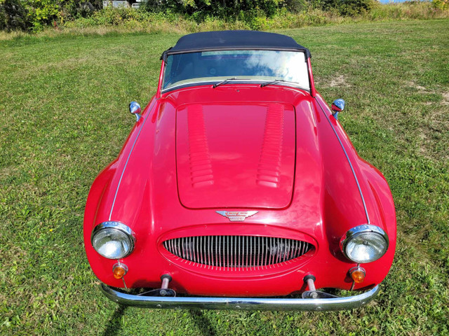 Austin Healey 1965 REPLICA 3000 Sebring 3000 MK III in Cars & Trucks in Thunder Bay - Image 2