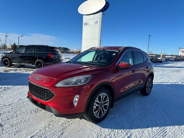 2020 Ford Escape SEL - ADAPTIVE CRUISE AND HEATED STEERING WHEEL in Cars & Trucks in Saskatoon - Image 3