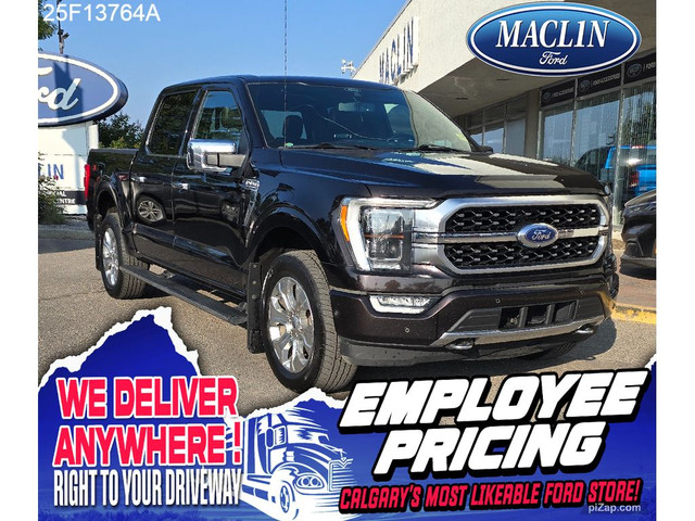 2021 Ford F-150 PLATINUM in Cars & Trucks in Calgary