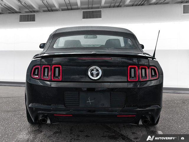 2013 Ford Mustang V6 Premium in Cars & Trucks in Winnipeg - Image 4