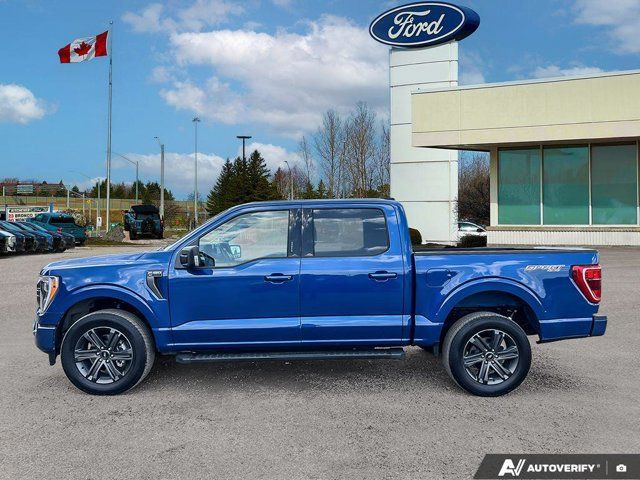 2023 Ford F-150 XLT | 302A | SPORT PKG | TOW PKG in Cars & Trucks in Kitchener / Waterloo - Image 4