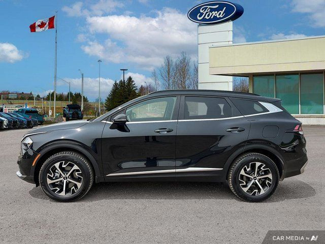 2024 Kia Sportage EX in Cars & Trucks in Kitchener / Waterloo - Image 4