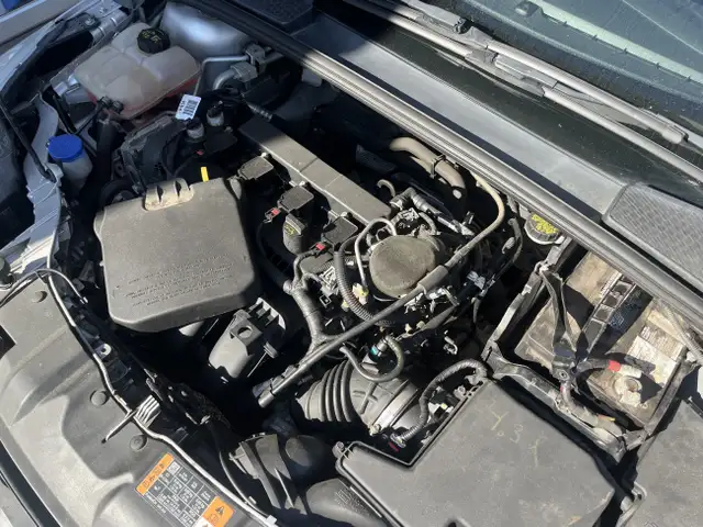 2014 Ford Focus SE in Cars & Trucks in Kitchener / Waterloo - Image 20