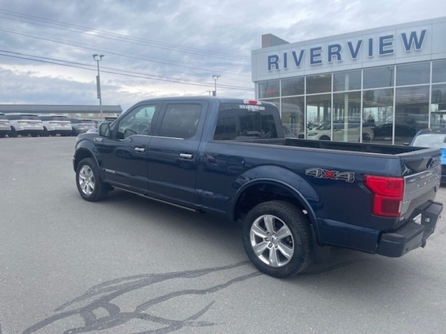  2019 Ford F-150 PLATINUM in Cars & Trucks in Fredericton - Image 3