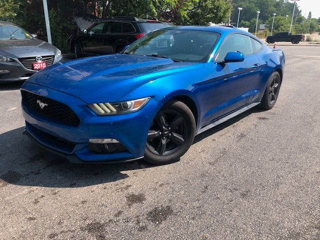 2017 Ford Mustang V6 no accidents runs great in Cars & Trucks in Cambridge
