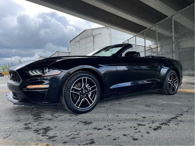2023 Ford Mustang CONVERTIBLE EcoBoost Premium HEAT/COOL LEATHER in Cars & Trucks in Delta/Surrey/Langley - Image 3