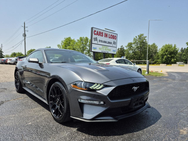 2019 Ford Mustang EcoBoost Premium Fastback in Cars & Trucks in London