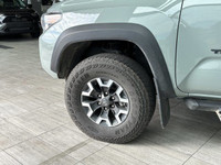 HEATED FRONT SEATS, ADAPTIVE CRUISE CONTROL, BACK-UP CAMERA Yearning for a rugged companion to conqu... (image 4)