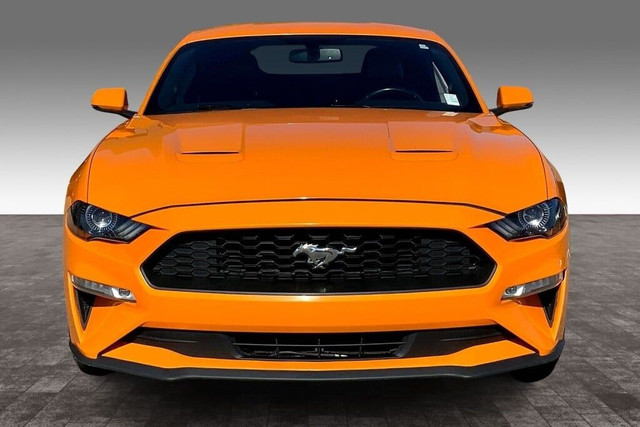 2019 Ford Mustang PREMIUM in Cars & Trucks in Edmonton - Image 3