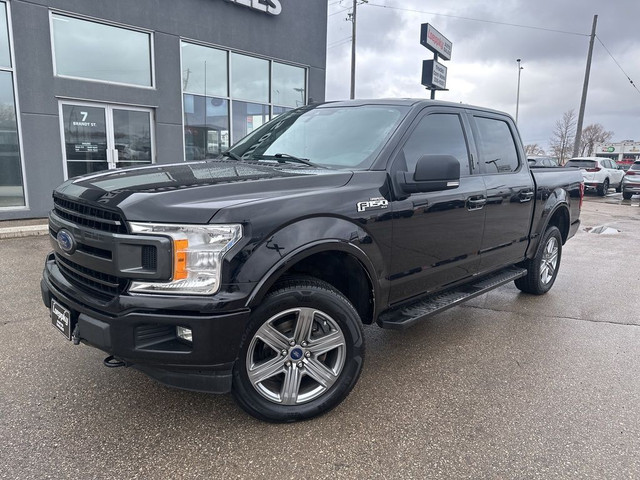 2019 Ford F-150 XLT 4WD SuperCrew 5.5' Box NO ACCIDENTS in Cars & Trucks in Winnipeg - Image 2