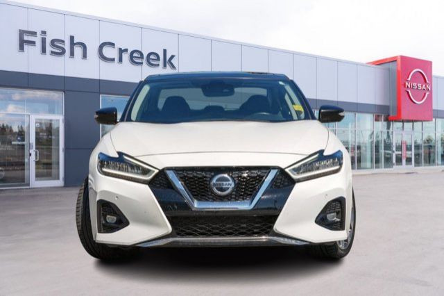2020 Nissan Maxima Platinum | One Owner | Low Kilometers in Cars & Trucks in Calgary - Image 2
