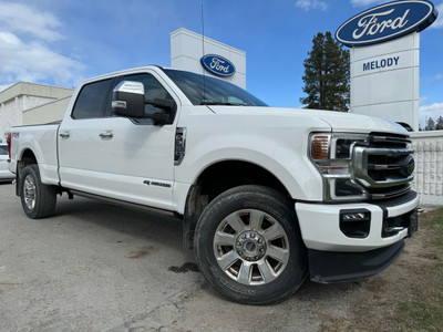  2020 Ford Super Duty F-350 SRW Platinum Preferred Equipment Pac