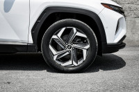Cooled Seats, Sunroof, Leather Seats, Navigation, Premium Audio! 6 LOCATIONS KINGSTON - (613) 384-56... (image 6)