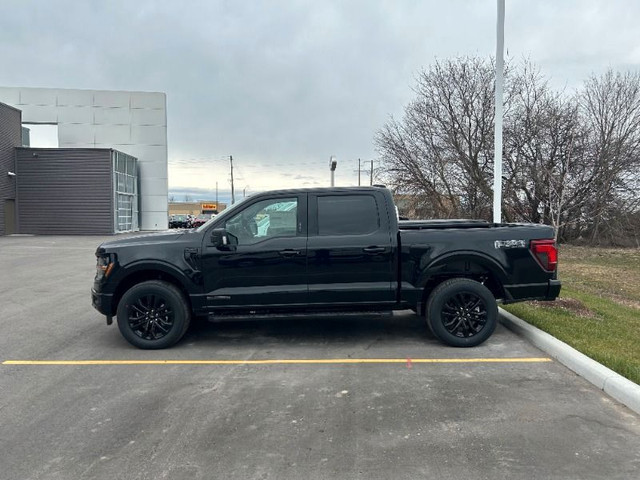  2024 Ford F-150 XLT *303A Black Pkg, HYBRID, Leather, Moonroof, in Cars & Trucks in Kawartha Lakes - Image 4