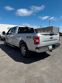 JUST IN! PRICED TO SELL | CLEAN CARFAX NO ACCIDENTS EcoBoost 3.5L Twin Turbo V6 375hp 470ft. lbs. 4x... (image 4)