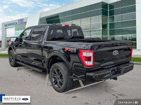 Engine: 8 Cylinder Engine 5.0L L/100Km City: 14.8 L/100Km Hwy: 10.9 Safety Equipment ABS And Driveli... (image 3)