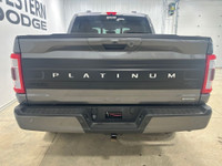 2022 Ford F-150 Platinum PLATINUM | 3.5L ECOBOOST | DUAL SUNROOF | 2 SETS O 4WD. Gray Metallic 3.5L... (image 5)