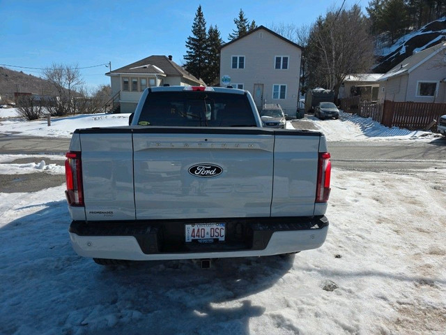 2024 Ford F-150 Platinum HYBRID POWERBOOST in Cars & Trucks in Sudbury - Image 4