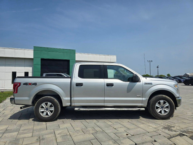 2015 Ford F-150 in Cars & Trucks in Ottawa - Image 4