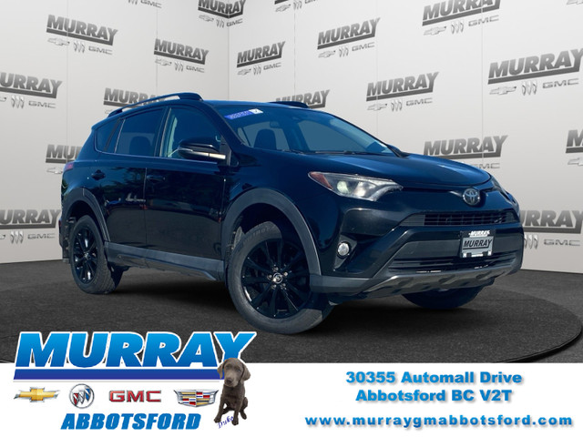 2018 Toyota RAV4 SE | Midnight Edition | AWD in Cars & Trucks in Abbotsford