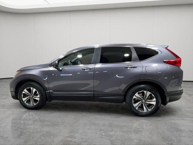 2019 Honda CR-V LX - CLEAN CARFAX - ONE OWNER in Cars & Trucks in Strathcona County - Image 3