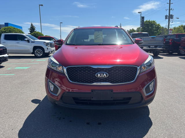 2016 Kia Sorento 2.4L LX in Cars & Trucks in Kawartha Lakes - Image 2