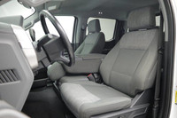 ENGINE: 5.0L V8, 4x4, BLIND SPOT MONITOR, AUTOMATIC HIGHBEAMS, BACK-UP CAMERA, LANE KEEPING ASSIST,... (image 9)
