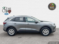 Check out this 2024 Ford Escape Active before it's too late! *Get Your Money's Worth for this Ford E... (image 6)