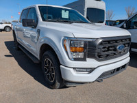 WAS: $48990 NOW: $46990 plus taxes and licensing feesXLT Sport Appearance Package, Tailgate Step, Sp... (image 6)